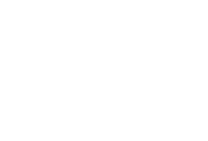 bonatone log